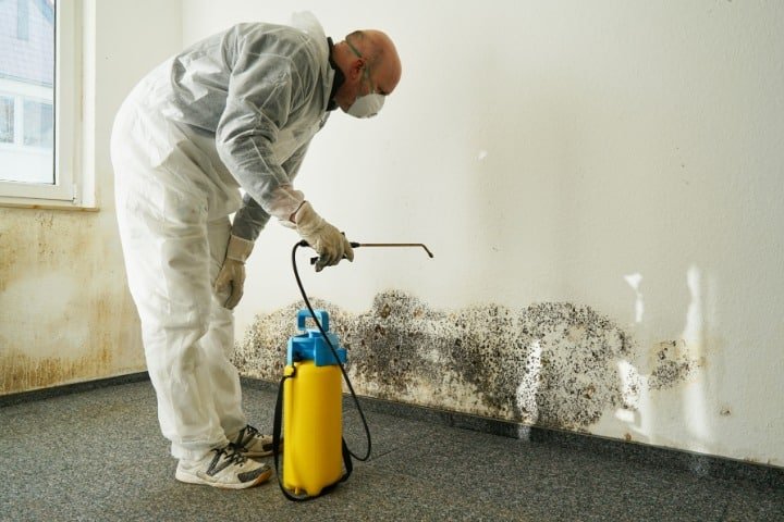 Mold Remediation and Restoration Service Near Me in Portland OR