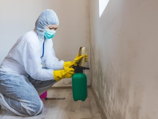 Mold Remediation and Restoration Service Near Me in Portland OR 10